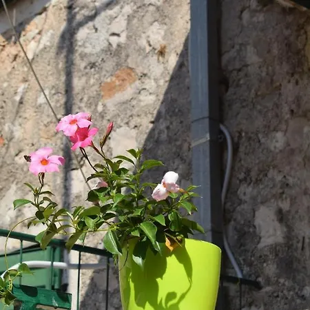 Apartamento Vila Levanda